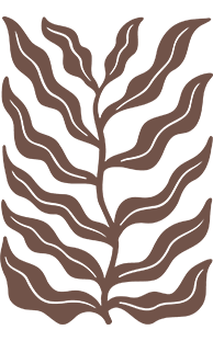 Paper cut-out botanical