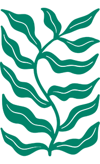 Paper cut-out botanical