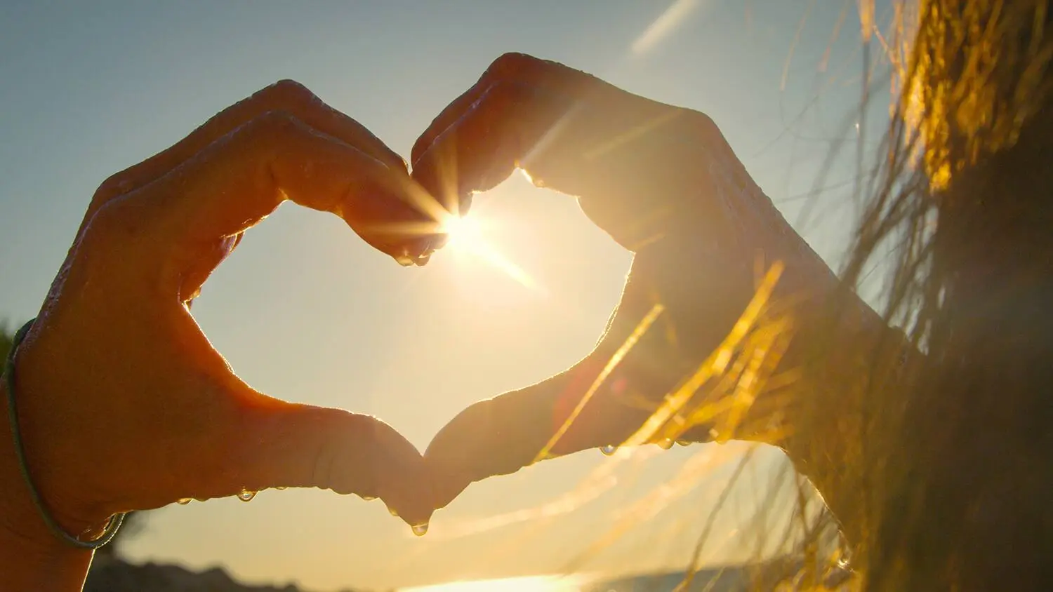 Two hands forming a heart shape against a low golden sun